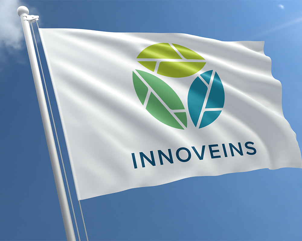 Kolster Ontwerp -Branding Innoveins